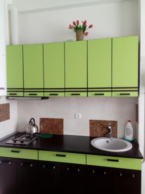 Apartment on Stanislavskogo 11